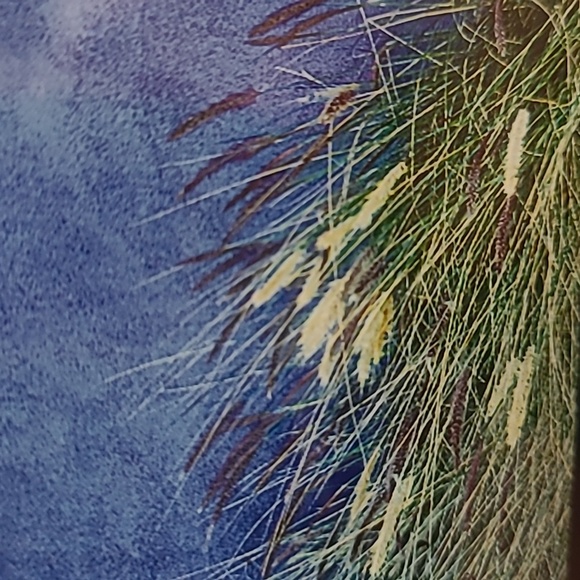 Jim Nilsen "Tuscon" Signed Framed Photo Art - Picture 10 of 16